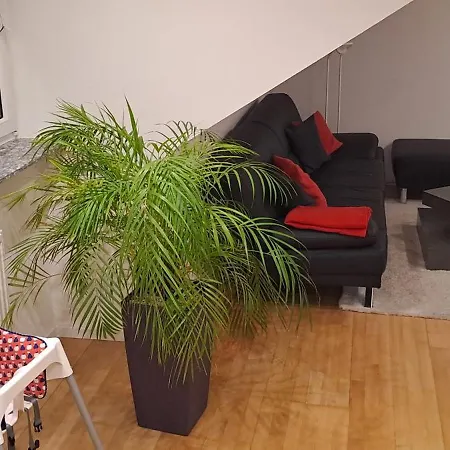 Ferienwohnung-vetter 아파트 *